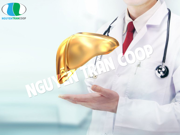 Cách chữa triệu chứng bệnh gan nóng tại nhà đơn giản