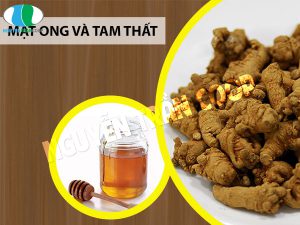 Cách dùng Tam Thất Bắc mật ong hiệu quả ai cũng nên biết