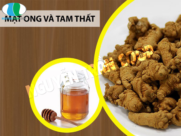 Cách dùng Tam Thất Bắc mật ong 