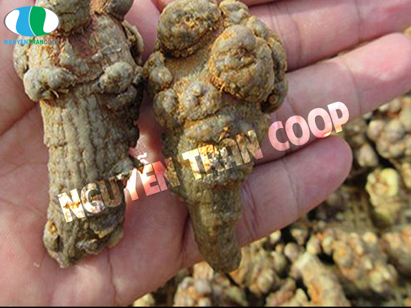 Cách dùng Tam Thất Bắc mật ong 3