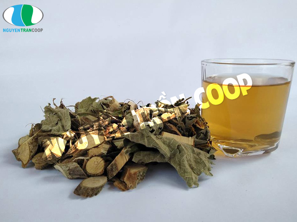 Cách nấu Cây An Xoa chữa bệnh gan 3