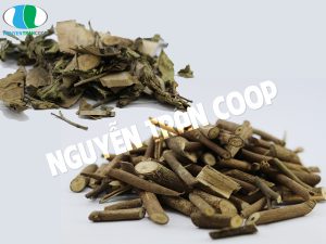 cây an xoa và cây xạ đen