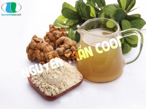 nghiền củ Tam Thất Bắc