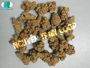 Lợi ích của Tam Thất Bắc