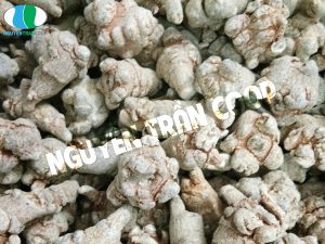 Thực hư chuyện uống Tam Thất Bắc tiêu u bướu