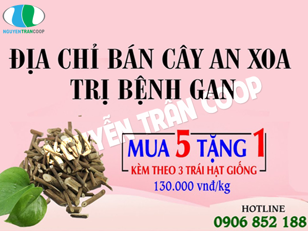 Flavonoid ở Cây An Xoa