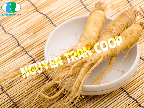 Nên uống sâm vào lúc nào trong ngày