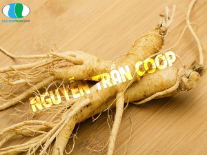 Uống sâm lúc đói hay sau khi ăn no là tốt nhất?