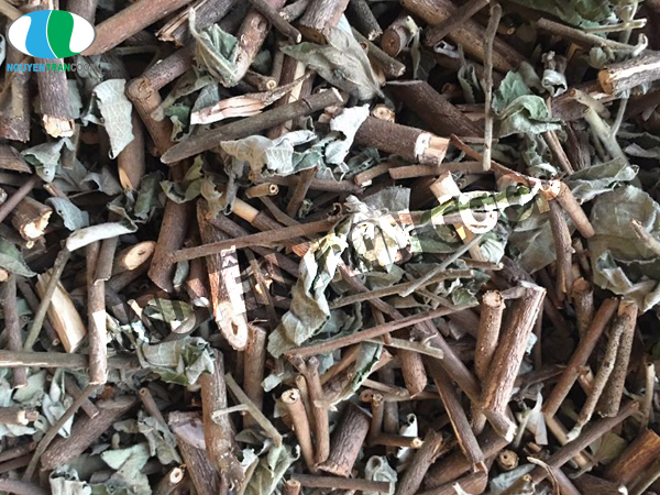 Bệnh viêm gan B là gì? Vì sao cần ngăn chặn bệnh từ sớm?