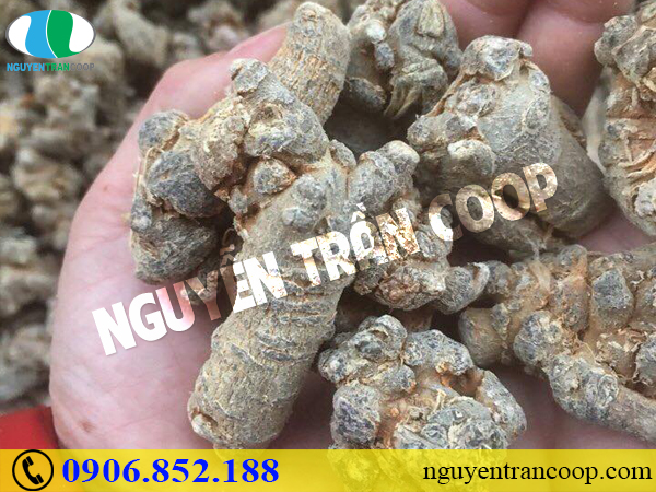 Bị thủng dạ dày có thật hay không?