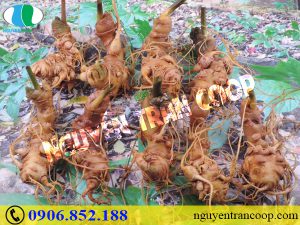 Bỏ túi ngay những bí quyết giúp chăm sóc sức khỏe mùa lạnh