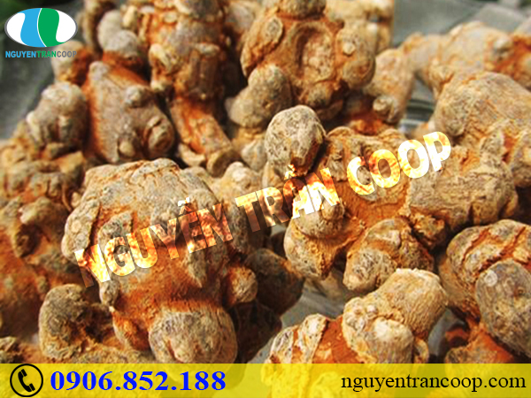 Các loại thức uống có ga có phải là nguyên nhân gây đau dạ dày?