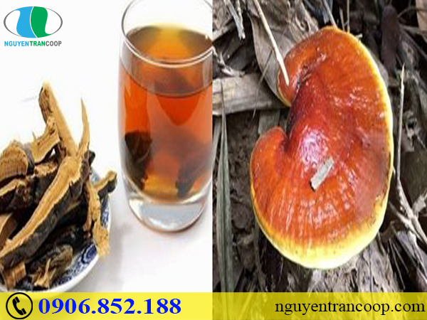 Cách chữa nhức mỏi xương khớp tại nhà dễ làm nhất