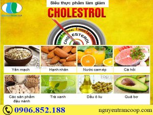 Cẩm nang vàng giúp bạn giảm cholesterol trong máu hiệu quả