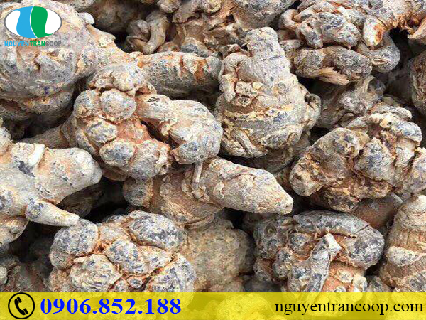 Cẩm nang vàng giúp bạn giảm cholesterol trong máu hiệu quả