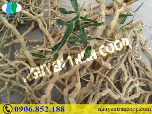 Chăm sóc bệnh nhân sau xạ trị như thế nào để mau phục hồi?