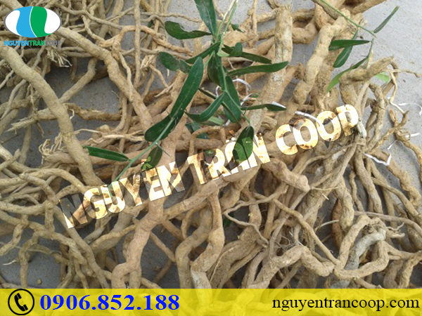 Chăm sóc bệnh nhân sau xạ trị như thế nào để mau phục hồi?