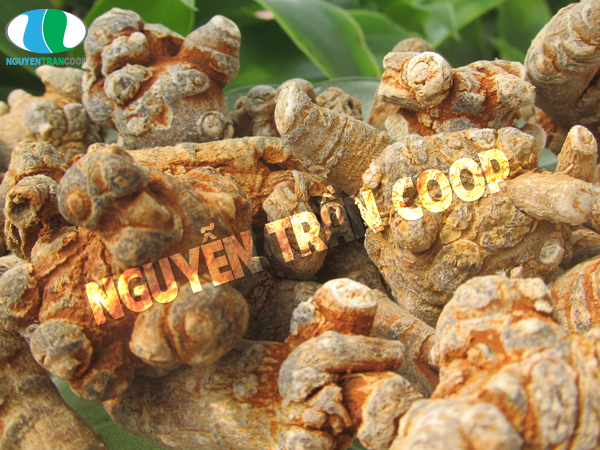 Chế độ ăn uống cho người ung thư phổi là như thế nào?