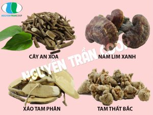 Có nên dùng cách chữa ung thư bằng thuốc nam hay không?