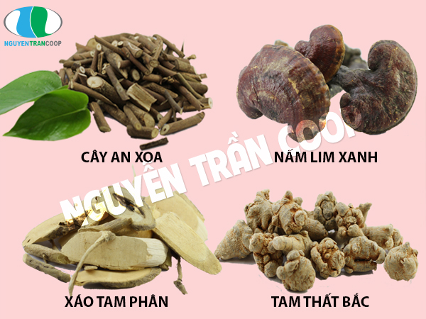 Có nên dùng cách chữa ung thư bằng thuốc nam hay không?