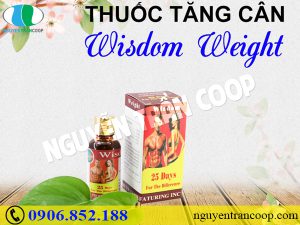 Đánh giá Thuốc tăng cân Wisdom Weight 2018