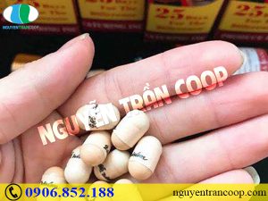 Đánh giá Thuốc tăng cân Wisdom Weight 2018