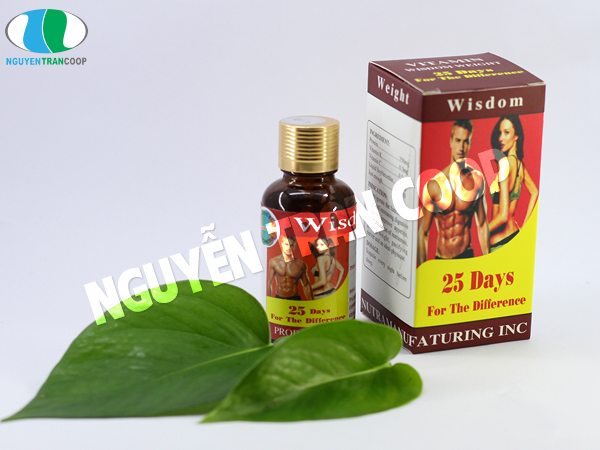 Mua Thuốc tăng cân Wisdom Weight chính hãng ở đâu?