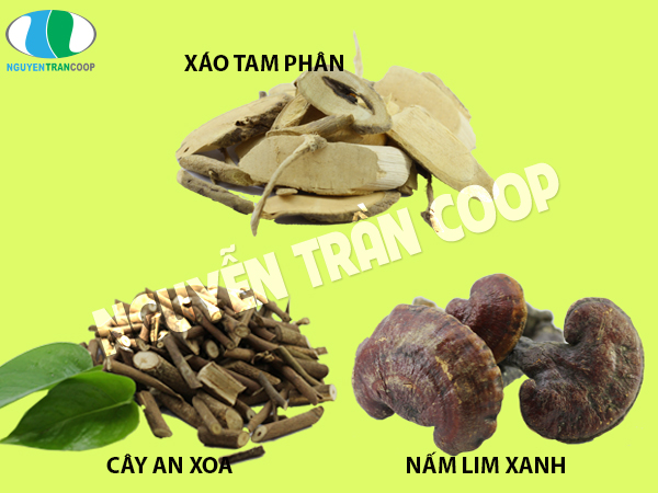 thảo dược cho người bệnh gan