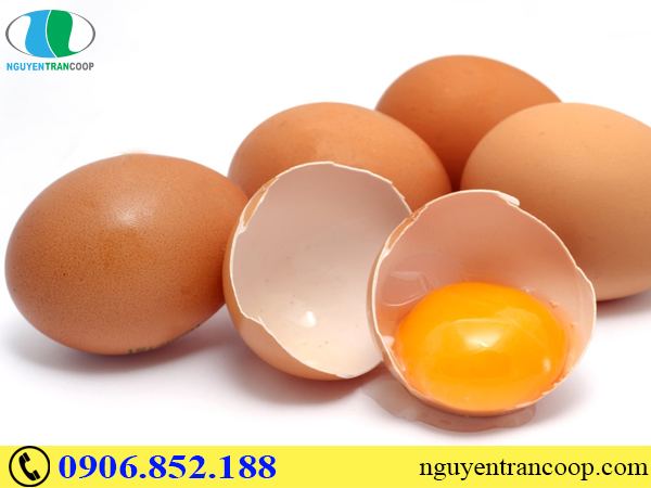 Người bệnh gan có nên ăn trứng hay không?