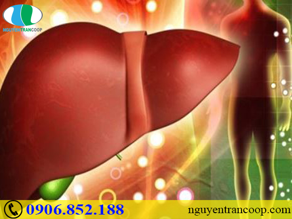 Người bệnh gan có nên ăn trứng hay không?