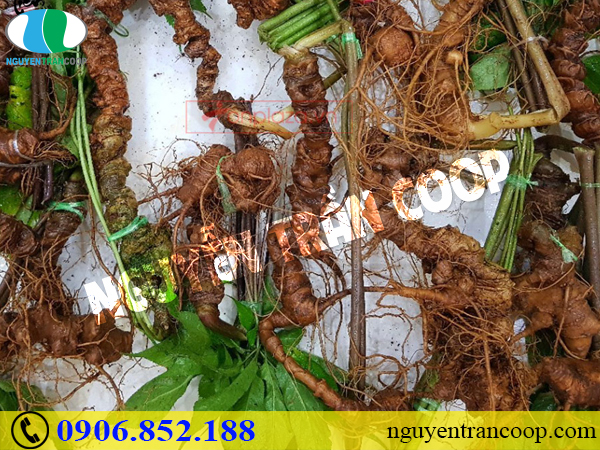 Người lớn tuổi cần chú ý giảm nguy cơ tai biến vào mùa lạnh