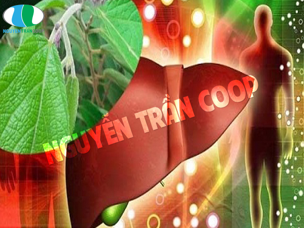 Nguy hiểm không ngờ từ bệnh não gan (hôn mê gan)