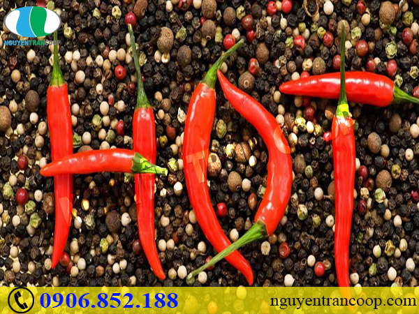 Nguyên nhân gây mụn - Không biết thì làm sao hết mụn!