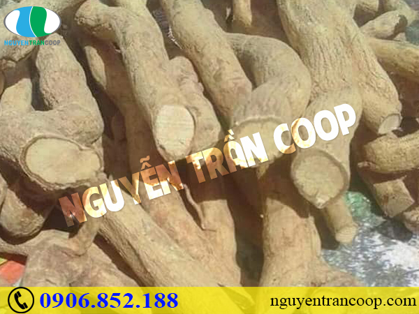 Những quan niệm “ngây ngô” về bệnh ung thư vú