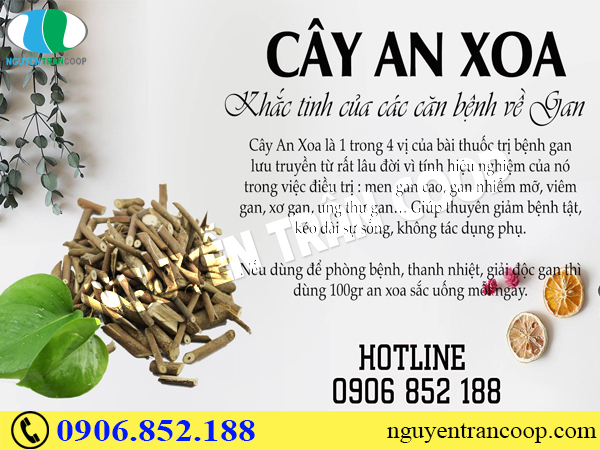 Những tác nhân gây hại cho gan hàng đầu hiện nay