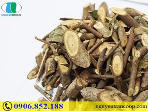 Phụ nữ bị viêm gan B có mang thai được không?