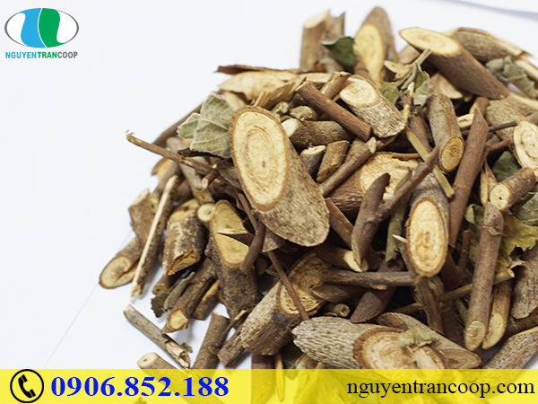 Phụ nữ bị viêm gan B có mang thai được không?