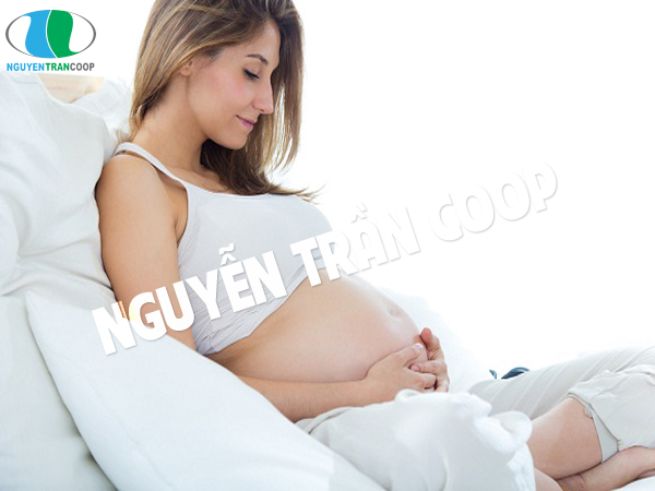 Phụ nữ có bầu có uống Cây An Xoa được không?