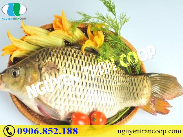 Tăng cơ hiệu quả - Người tập gym nên biết những thực phẩm này