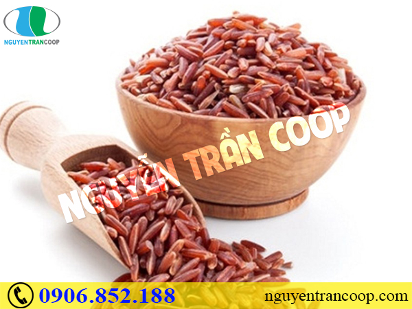 Tăng cơ hiệu quả - Người tập gym nên biết những thực phẩm này