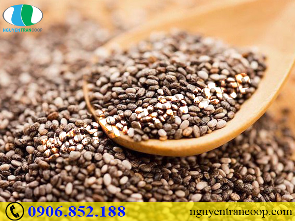 Tăng cơ hiệu quả - Người tập gym nên biết những thực phẩm này