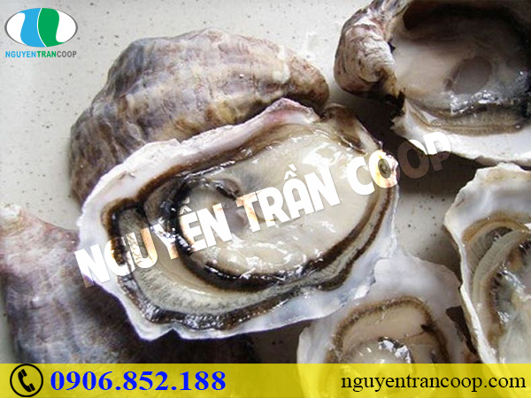 Tăng cơ hiệu quả - Người tập gym nên biết những thực phẩm này