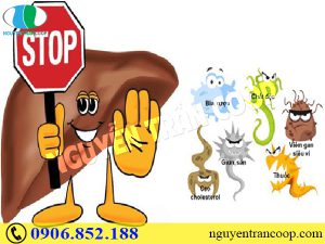 Thay đổi lối sống giúp phòng ngừa men gan cao hiệu quả