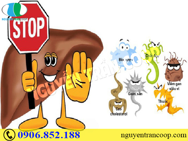 Thay đổi lối sống giúp phòng ngừa men gan cao hiệu quả