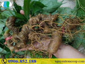 Thói quen tốt cho não bộ luôn minh mẫn, nhanh nhạy