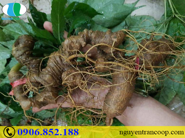 Thói quen tốt cho não bộ luôn minh mẫn, nhanh nhạy