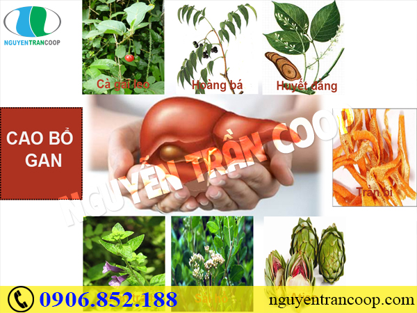 Thực hư của những bài thuốc nam chữa viêm gan B?