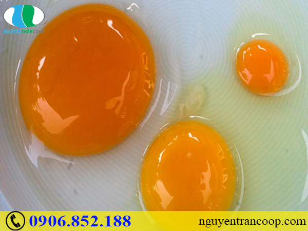 Thực phẩm nhiều cholesterol - Thật tai hại cho tim mạch!