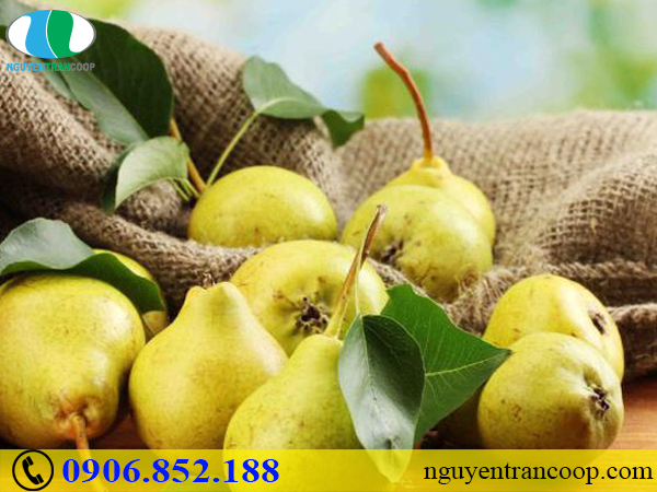 Top 5 loại trái cây giải độc gan cực tốt