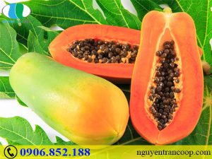 Top 5 loại trái cây giải độc gan cực tốt